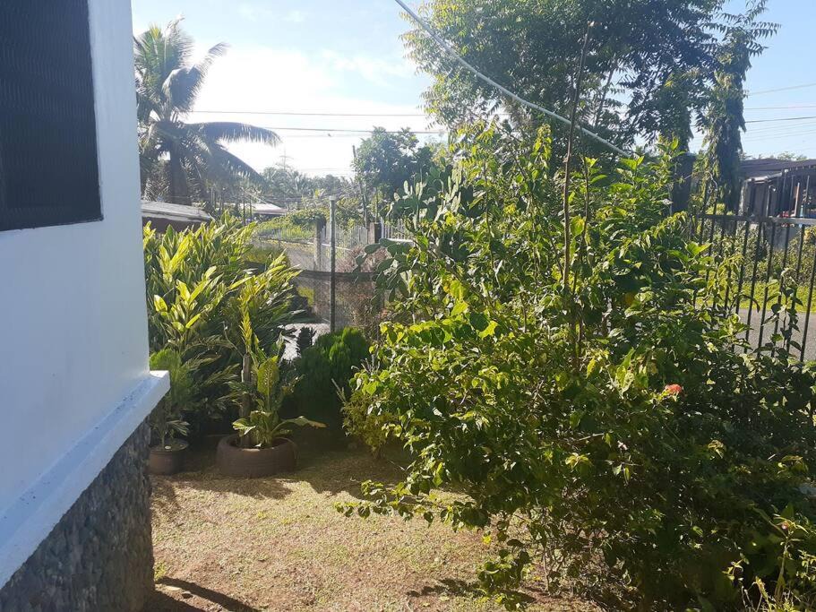 Photo of Others in Nasinu