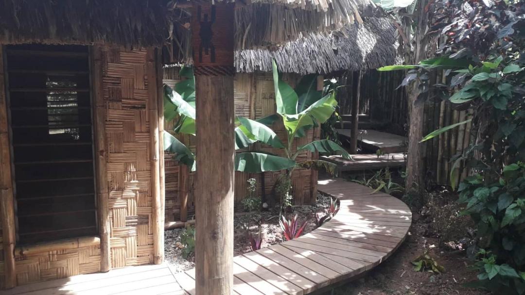 Photo of Others in Ono Island